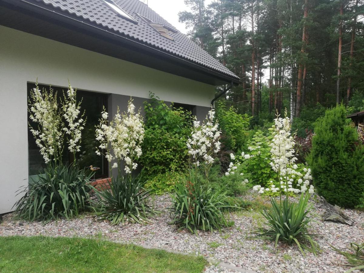 Cudodomek Spa W Mrozach Wielkich Kolo Elku Exterior foto
