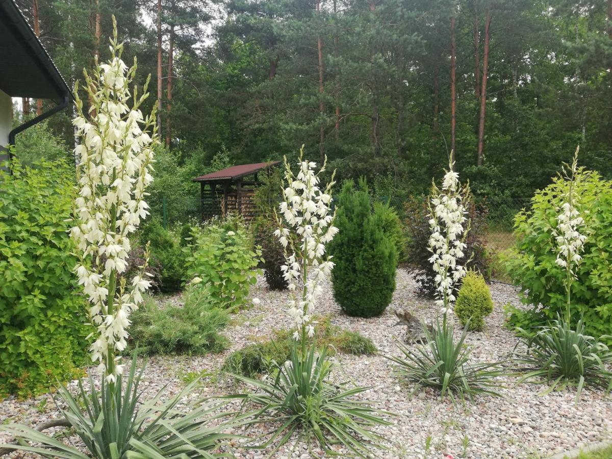 Cudodomek Spa W Mrozach Wielkich Kolo Elku Exterior foto